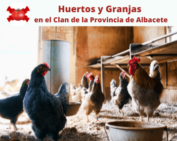 Albacete, Huertos y Granjas