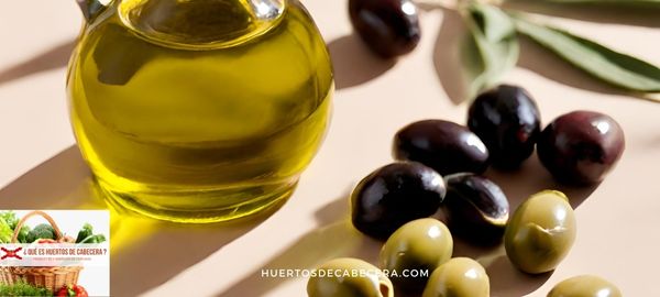 ¿Qué utilidad tiene el olivo y su fruto?